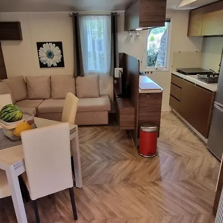 Mobile Avec Terrasse Et Piscine. Chalet *