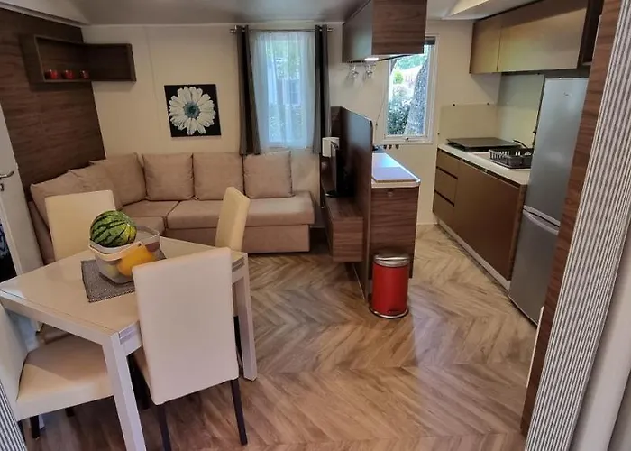 Mobile Avec Terrasse Et Piscine. Chalet *